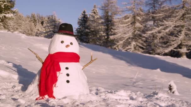 CLOSE UP: Забавный снеговик стоит в зимней деревне в солнечный день. — стоковое видео