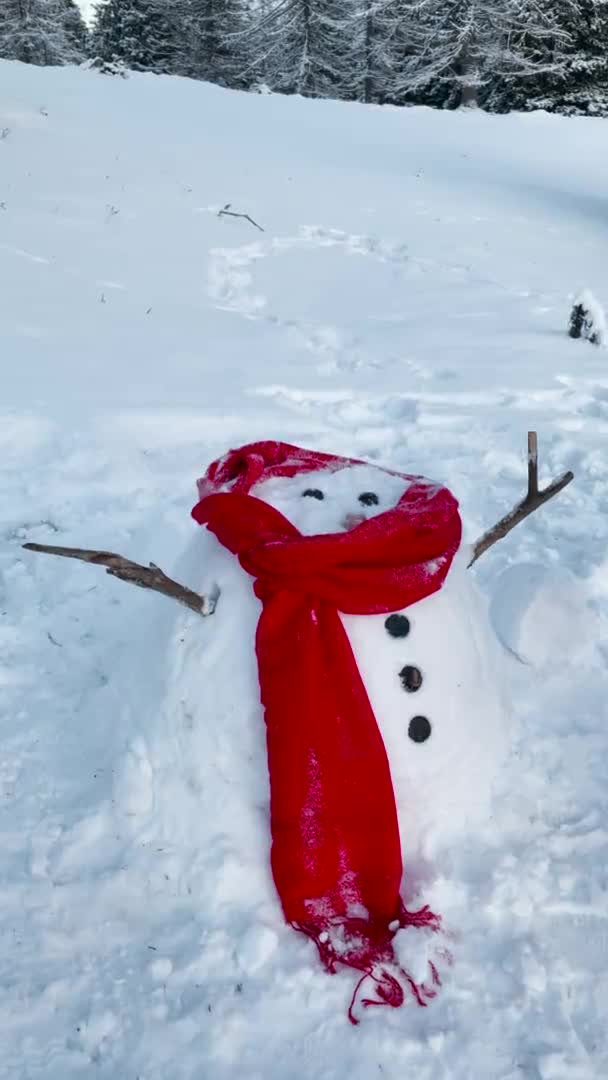 VERTICAL: Αγνώριστο άτομο ρίχνει ένα μαύρο καπέλο πάνω από ένα λιώσιμο χιονάνθρωπο. — Αρχείο Βίντεο