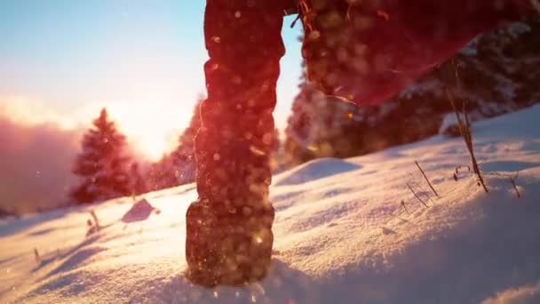 LOW ANGLE:冬の休暇に楽しい女性が輝く新鮮な雪の中に走ります. — ストック動画