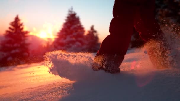 CLOSE UP: Unrecognizable female tourist treads the deep powder snow at sunrise. — Stock Video