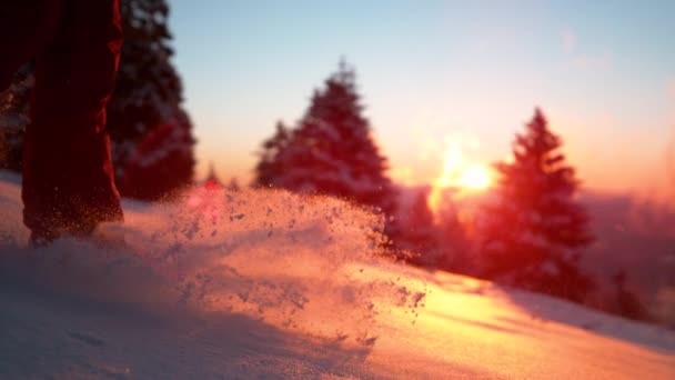 CERRAR: Copos de nieve brillan en la luz del sol de oro como mujer camina en la nieve en polvo. — Vídeos de Stock