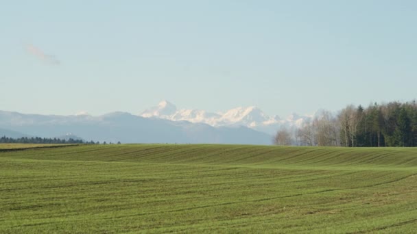 Scénický záběr na svěží zelené pole a zasněžené skalnaté hory v dálce. — Stock video