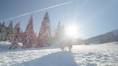 Düşük açılı kadın, güneşli bir günde karlı tepeden kayarken kolunu uzatır.