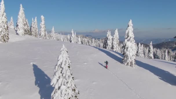 AERIAL: Vrouwelijke toeristische wandelingen op een besneeuwde heuvel tijdens een skitocht in Slovenië — Stockvideo