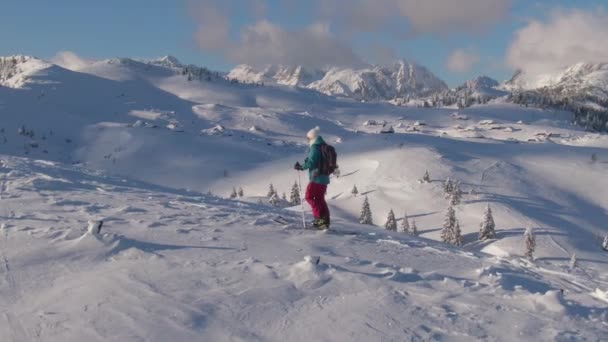 DRONE: Spectaculaire opname van een besneeuwde vallei als vrouw skitochten in Velika Planina. — Stockvideo