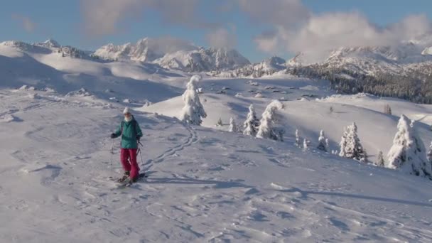 AERIAL: Splitboarder verkent de Sloveense bergen op een zonnige winterdag. — Stockvideo