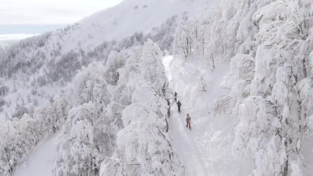 AEREO: Volare sopra un gruppo di turisti scialpinismo in montagne innevate incontaminate. — Video Stock