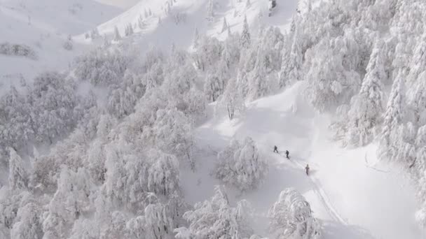 АЭРИАЛ: Трое здоровых людей исследуют снежный пейзаж во время путешествия. — стоковое видео