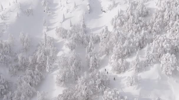DRONE: Αεροφωτογραφία του παρθένου λευκού ορεινού τοπίου γύρω από τους σκιέρ. — Αρχείο Βίντεο