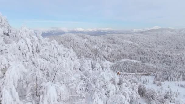 AERIAL: Der Flug über einen verschneiten Hügel offenbart das weite Tal und die weit entfernten Julischen Alpen — Stockvideo