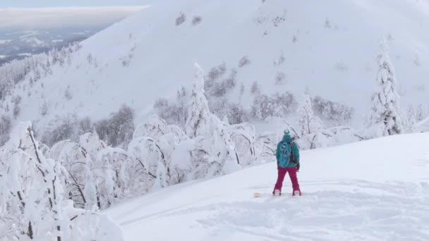 AERIAL: Vliegen rond jonge snowboarder observeren van het landschap voor haar afdaling — Stockvideo