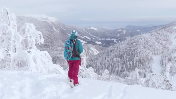 Žena pozoruje ohromující zimní krajinu před snowboardem. — Stock video