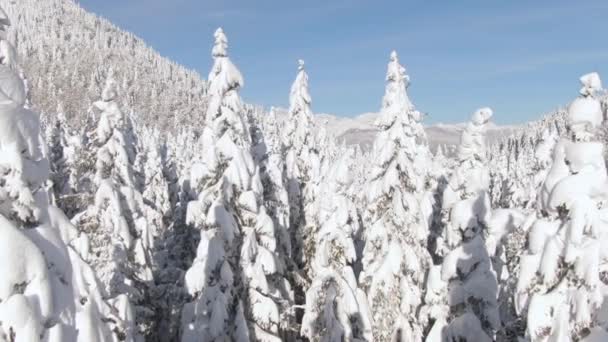 AERIAL: Festői havas vidéki táj a napsütötte szlovén hegyekben. — Stock videók