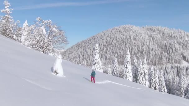 DRONE: Paisaje invernal escénico de montaña rodea a la mujer esquiando en un día soleado — Vídeos de Stock
