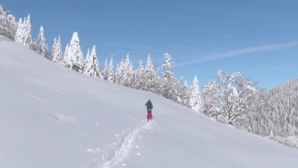 Kvinna på splittringsresa i Julian Alperna vandrar uppför en snöig äng. — Stockvideo