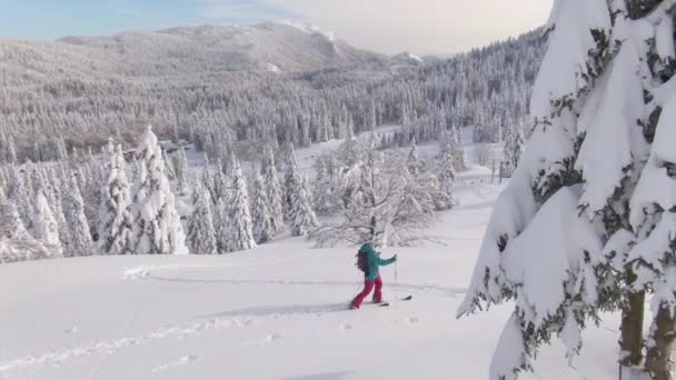 DRONE Volando alrededor de una mujer activa en un viaje de splitboarding cruzando el prado nevado — Vídeos de Stock