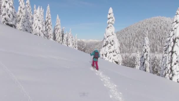 DRONE: Turista femenina en forma explora las colinas desarregladas durante un viaje de esquí — Vídeo de stock