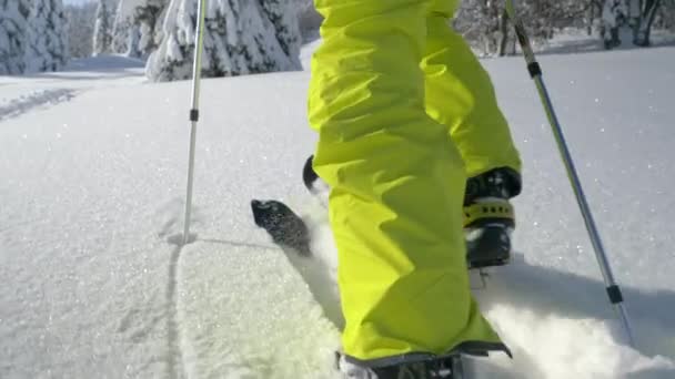 Αγνώριστο αρσενικό splitboarder ανεβαίνει σε ένα λαμπερό χιονισμένο λιβάδι. — Αρχείο Βίντεο