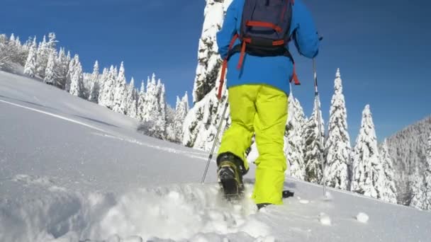 CHIUDI: Uomo irriconoscibile in viaggio di splitboarding batte neve fresca in polvere. — Video Stock