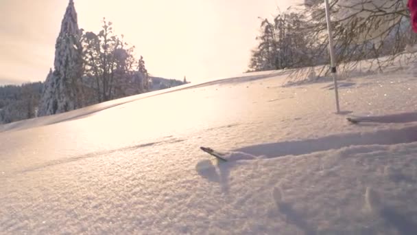 Tanınmayan kadın altın gün batımında kar altında kayak turları yapıyor.. — Stok video