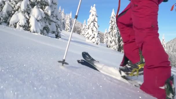 ZAMKNIJ SIĘ: Zdolna kobieta wędruje po głębokim śniegu podczas trasy narciarskiej w Alpach Julijskich. — Wideo stockowe