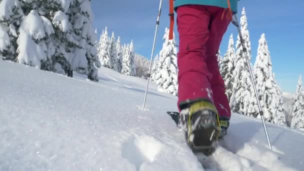 AFSLUITEN: Onherkenbare vrouwelijke splitboarder klimt een prachtige besneeuwde heuvel op. — Stockvideo