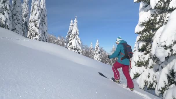 在滑雪旅行中爬山时，女人们踩着厚厚的积雪 — 图库视频影像