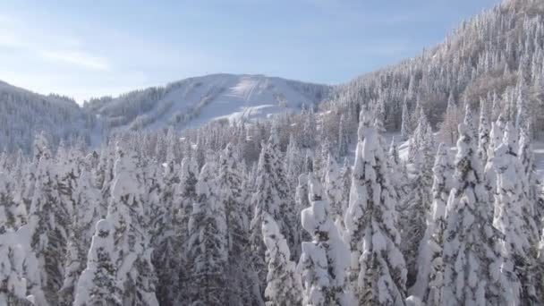 AEREO Le piste da sci rimangono vuote in inverno soleggiato a causa della normativa covid19 — Video Stock