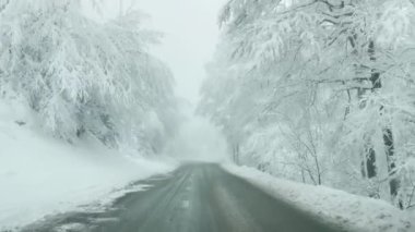Boş asfalt yolda giderken Idyllic kış ormanı çevrenizi sarar.