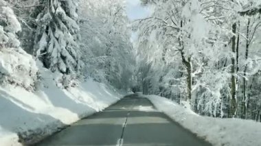 Güneşli bir kış gününde boş bir orman yolunda araba sürerken çekilen ilk kişi..