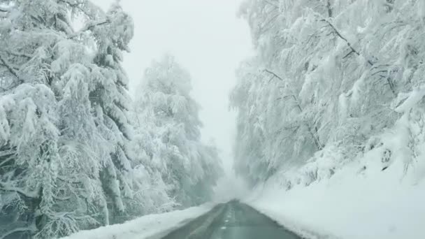 POV: Tiro panorâmico de condução ao longo de uma estrada rural vazia que atravessa as florestas nevadas — Vídeo de Stock