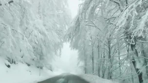 POV: Primer disparo en persona de un viaje a lo largo de la carretera en invierno Bohinj, — Vídeo de stock