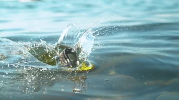 STÄNGA UPP: Vridna gröna flip-flops dumpas i det lugna kristallklara havet. — Stockvideo