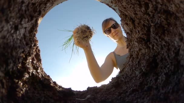 Νεαρή γυναίκα φυτεύει ένα δενδρύλλιο στην αυλή της μια ηλιόλουστη ανοιξιάτικη μέρα. — Αρχείο Βίντεο