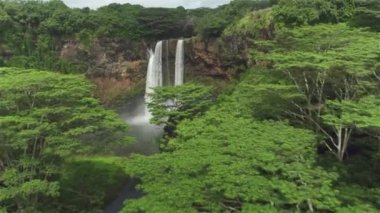 Yağmur ormanlarının ortasında görkemli bir şelaleye doğru uçuyor..