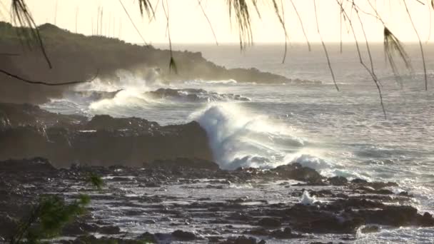 MOTION LENT : Pulvérisation d'eau de mer blanche mousseuse sur la côte rocheuse noire au coucher du soleil. — Video