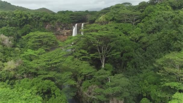 AERIAL: vegetasi tropis hijau yang rimbun mengelilingi air terjun terpencil di Hawaii. — Stok Video