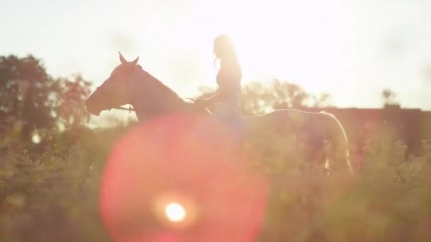 LENS FLARE: Malownicze ujęcie długowłosej kobiety w białej sukience jeżdżącej na koniu. — Wideo stockowe