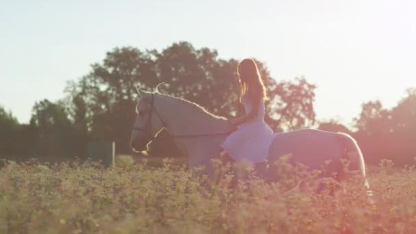 SLOW MOTION: Schöne junge Frau reitet an einem sonnigen Abend barbusig. — Stockvideo