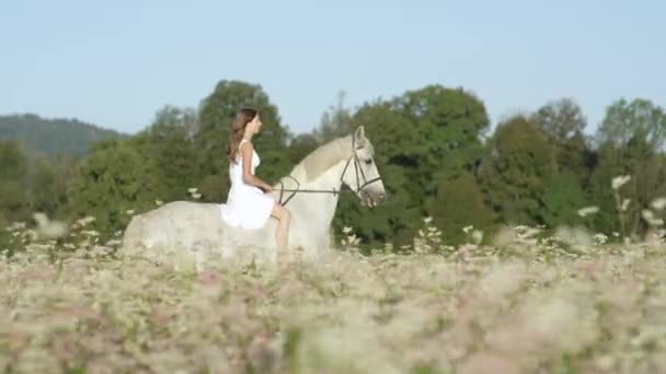 SLOW MOTION: Młoda brunetka dziewczyna jeździ pięknym białym koniem obok pola. — Wideo stockowe