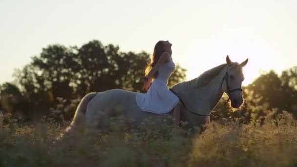 LENS FLARE Mulher feliz montando um cavalo deixa ir as rédeas e estende os braços — Vídeo de Stock