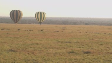 AERIAL: Hot air balloons glide along a herd of zebras migrating across Serengeti