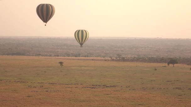 AERIAL: Touristen auf Safari im Serengeti-Ballon durch die malerische Savanne. — Stockvideo