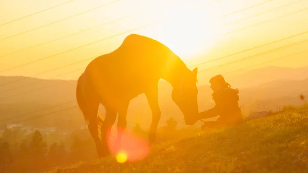 SUN FLARE: Young woman sitting on the hill while her horse grazes at sunrise. — Foto de Stock