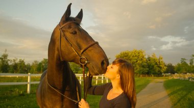 Neşeli kız, kaslı kahverengi aygırına aşkını ifade ediyor..