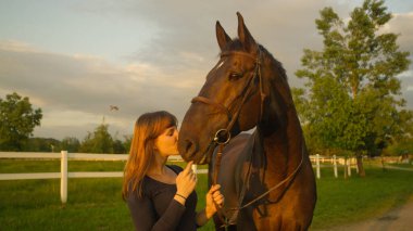 Neşeli beyaz kız kaslı aygırını burnundan öpüyor..