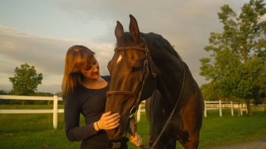 Sevgi dolu bir kadın güneşli bir yaz akşamında çarpıcı atı okşuyor..