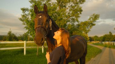 Neşeli beyaz kadın, güzel kahverengi aygırı okşuyor..