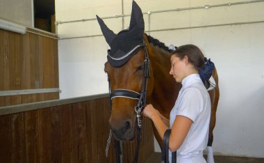 İyi giyimli kız, aygırının başına deri dizginleri bağlıyor..