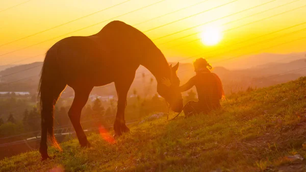 LENS FLARE: Loving girl petting her horse while it grazes in the sunny pasture. — Foto de Stock